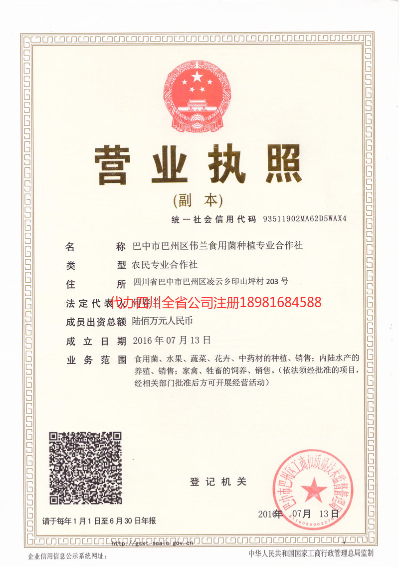 涟源涟源伟兰食用菌种植专业合作社